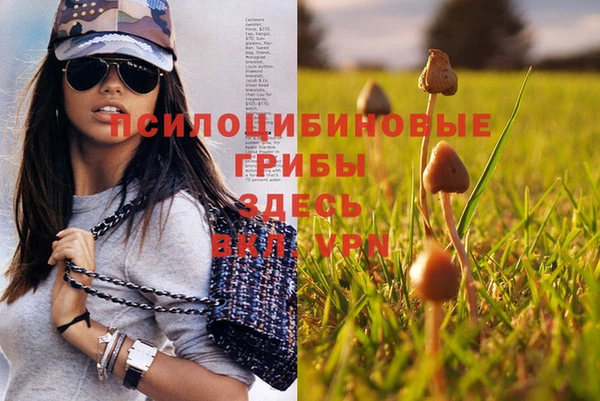 а пвп мука Магас